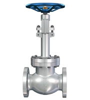 DJ41Y 低溫截止閥